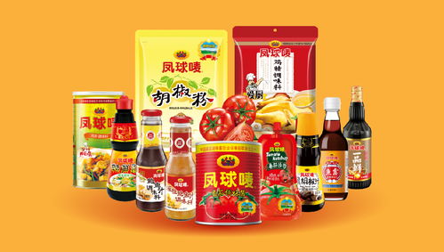凤球唛 以战略重塑品牌，用视觉点燃味蕾——调味品行业品牌全案策划解析